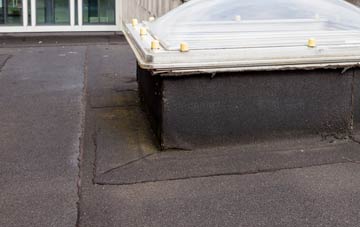 disadvantages of Ruthernbridge flat roofs