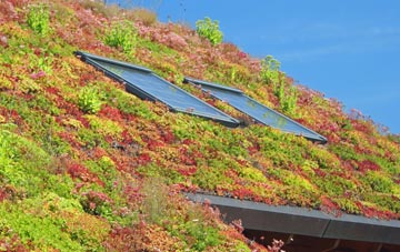 Ruthernbridge living roof systems